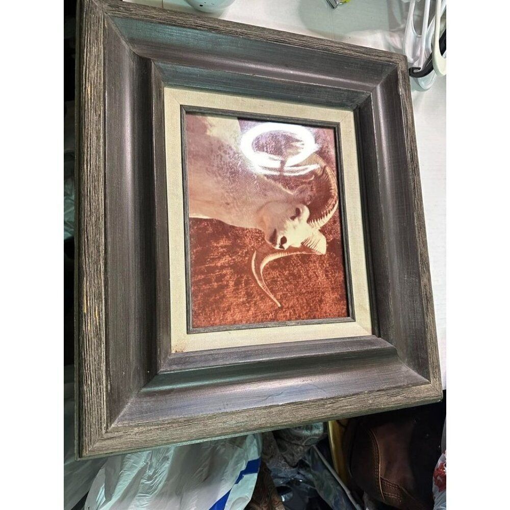Wall Art Framed Ram Mountain Goat Hecho En Mexico Solid Wooden Frame Unique Vint